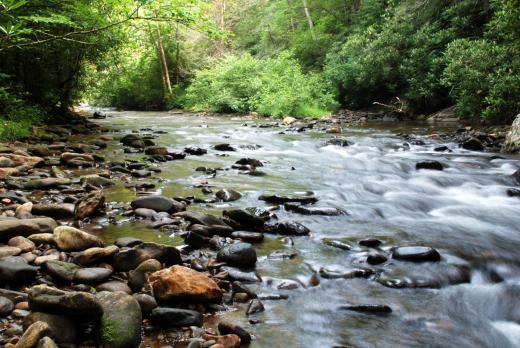 North Mills River, NC