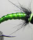 Rock Candy Larva