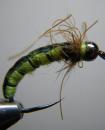 Crazy leg caddis