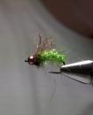 Magic Caddis